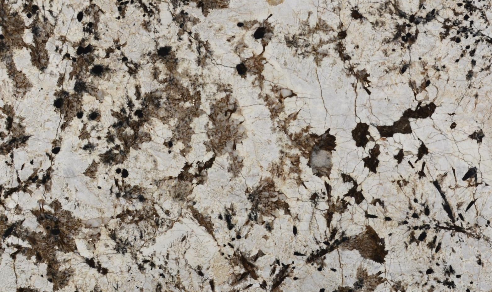 BLANC DU BLANC