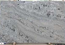 NEVASKA  WHITE